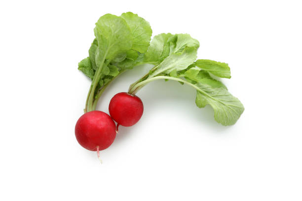 istock Fresh red radish isolated on white background 1333208428