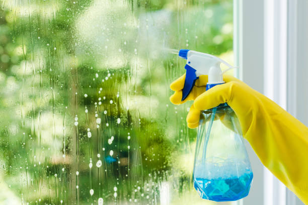 istock woman spraying and wiping glass 1333212311