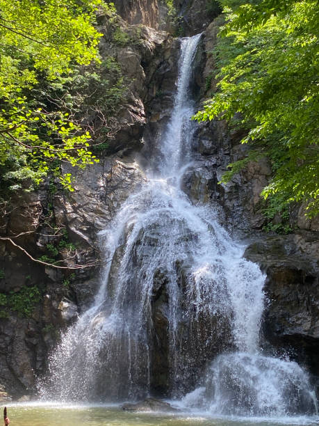 водопад - yalova стоковые фото и изображения