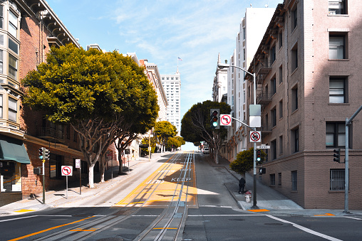 There are tram tracks in the middle of the uphill street. Californian trees rise along the street. The yellow color on the ground is in harmony with the buildings.