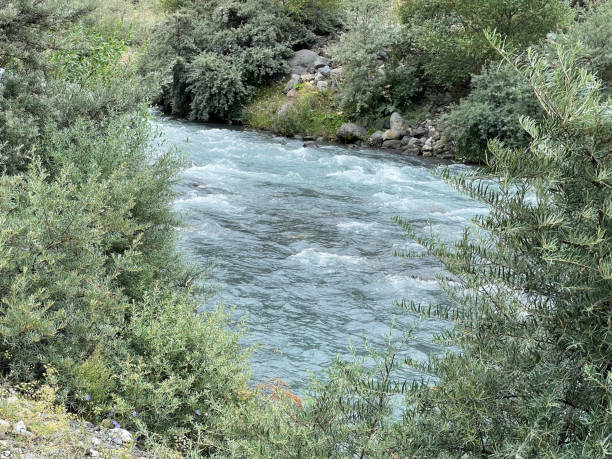 istock Fast flow of a mountain river framed by tree leaves 1333216368