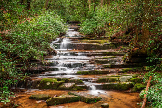 istock Panther Falls, Rabun County, Georgia on the Tallulah River 1333216497
