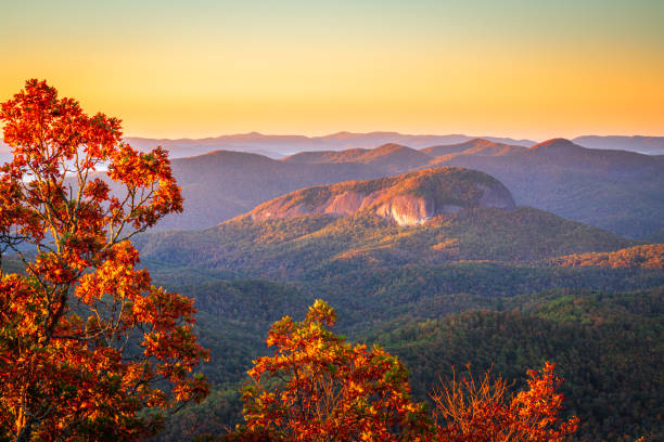 pisgah national forest, north carolina, usa at looking glass rock - looking glass rock imagens e fotografias de stock