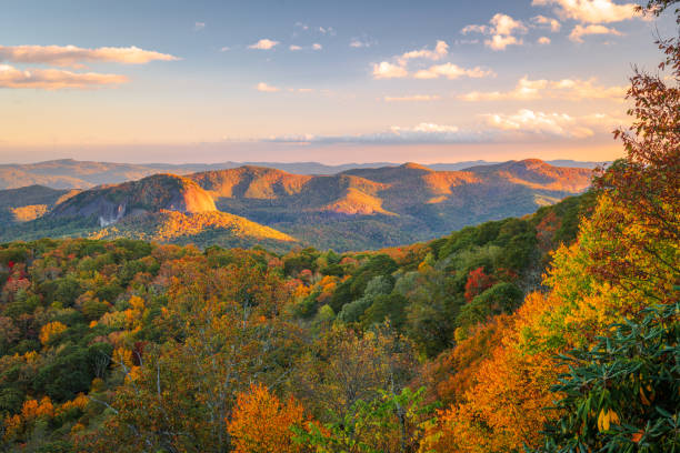 pisgah national forest, north carolina, usa at looking glass rock - looking glass rock imagens e fotografias de stock