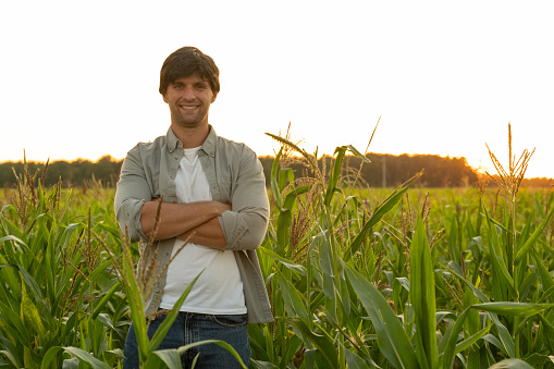Portrait of a farmer with his arms crossed, standing in a corn field, looking at the camera.