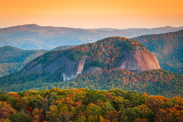 pisgah national forest, north carolina, usa at looking glass rock - looking glass rock imagens e fotografias de stock