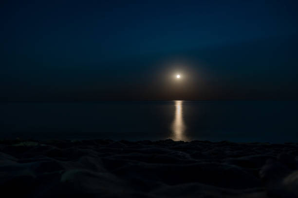istock Moonlit path on the night sea. Summer coast. Beautiful landscape. Full moon 1333216957