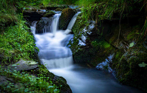 istock Extra long exposure of a Cornish stream through rapids in a woodland 1333217725