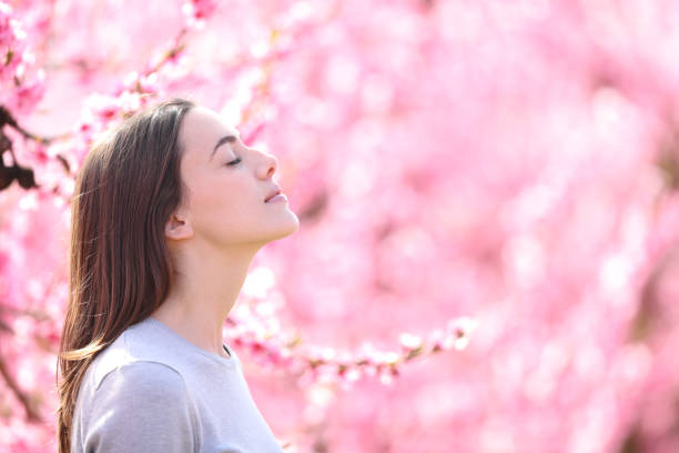 ピンクの花畑で呼吸し、匂いを嗅ぐ女性 - 嗅ぐ ストックフォトと画像