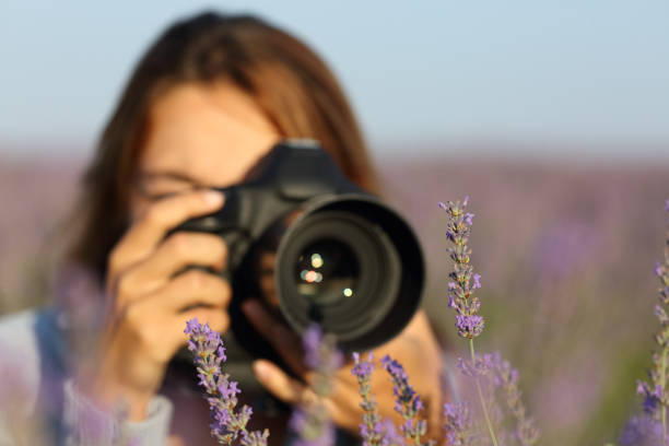 fotógrafo usando cámara réflex digital para tomar fotos de lavanda - single lense reflex fotografías e imágenes de stock