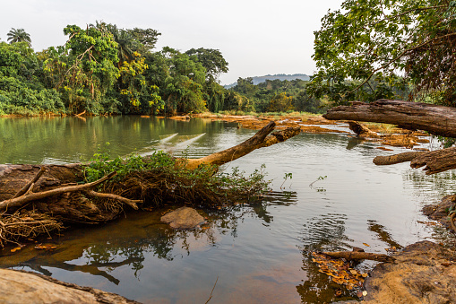Ose is a perennial river in southwestern Nigeria. Its source is in the Apata hills and it flows through savannah, rainforest, mangrove forest before discharging into the Atlantic Ocean.