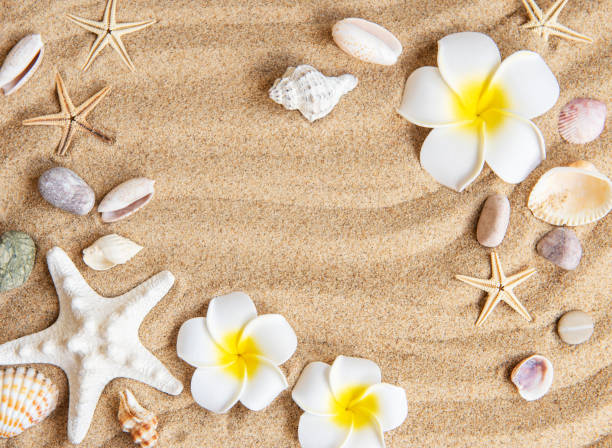istock Summer travel concept 1333223960