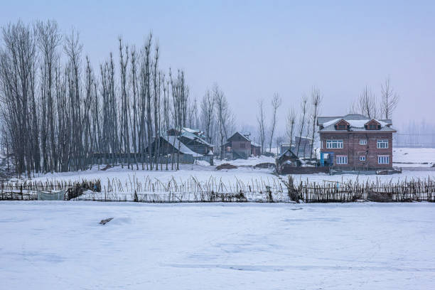 villages agricoles et rivières enneigées sur le chemin de srinagar à sonmarg et gulmarg - prairie farm winter snow photos et images de collection