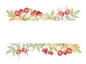 istock Botanical frame of the hawthorn berries and the rose hips painted with watercolors; on white isolated background. 1333229083