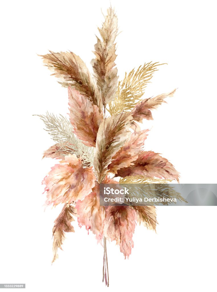 Watercolor Tropical Bouquet With Dry Pampas Grass And Gold Textures Hand  Painted Exotic Card Isolated On White Background Floral Illustration For  Design Print Fabric Or Background Stock Illustration - Download Image Now 