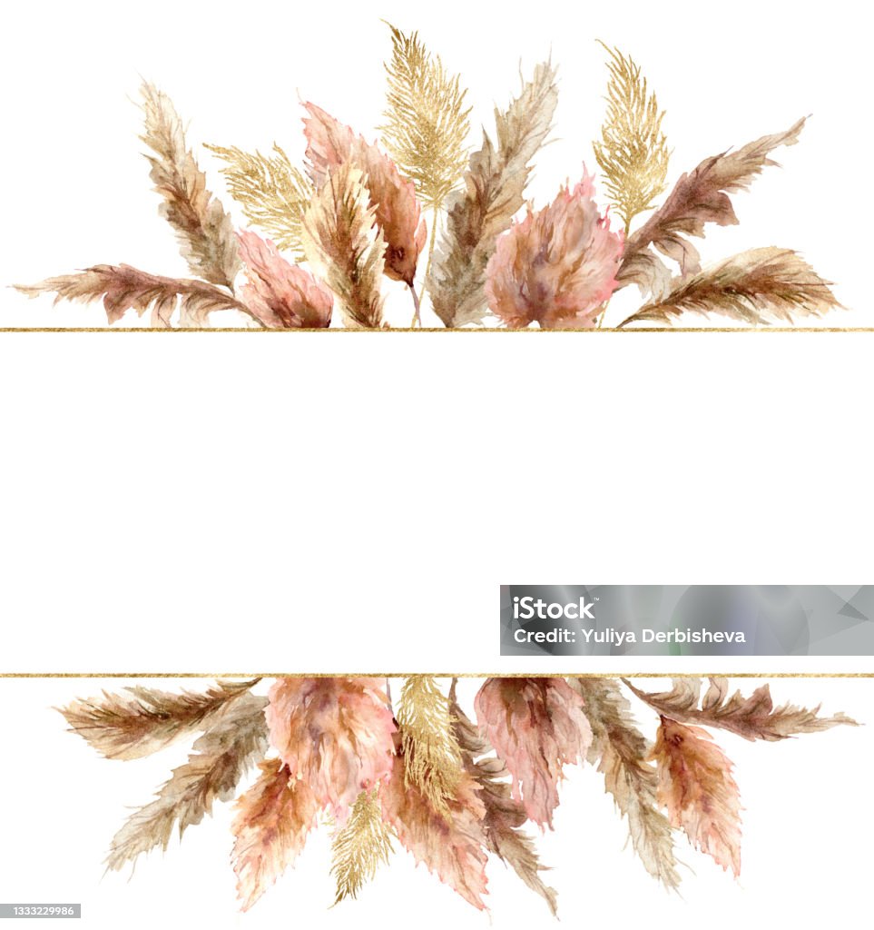 Watercolor Tropical Banner With Dry Pampas Grass And Gold Textures Hand  Painted Exotic Plant Isolated On White Background Floral Illustration For  Design Print Fabric Or Background Stock Illustration - Download Image Now 