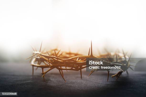The Crown Of Thorns Of Jesus On Black Background Against Window Light With Copy Space Stock Photo - Download Image Now