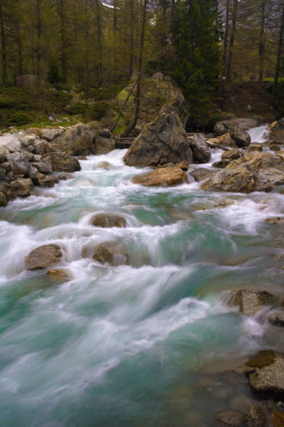 istock creek in ferret valley 1333231840