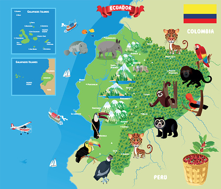 Ecuador Map Stock Illustration - Download Image Now - Spectacled Bear,  Amazon Region, Ecuador - iStock