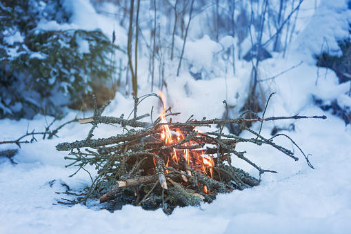 Bonfire in the winter forest among the snow.