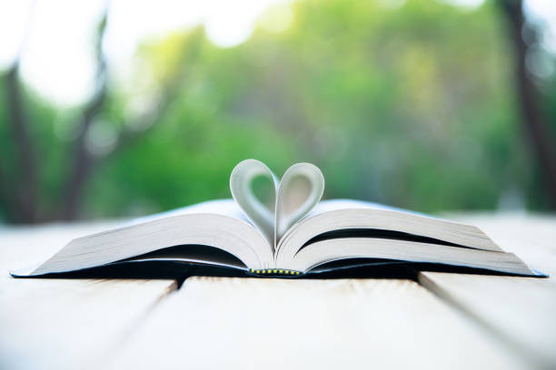 istock heart from the pages of the book 1333246383