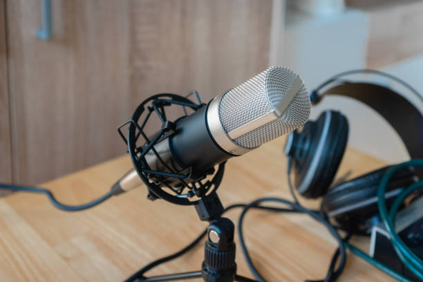 istock Microphone - professional condenser microphone in a home studio for podcast, music production 1333247386