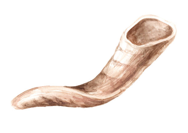 rams horn. hand drawn watercolor illustration  isolated on white background - yom kippur 幅插畫檔、美工圖案、卡通及圖標