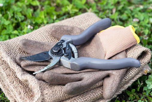 Garden pruner and gloves on the sackcloth background close up. Gardening.