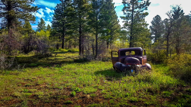 istock Old rusted out vehicle abandoned in the forest. 1333252682