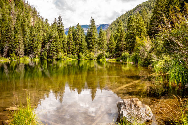 istock Mountain peaks and pine trees reflecting on a lake. 1333252736