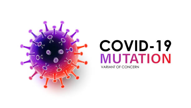 illustrations, cliparts, dessins animés et icônes de maladie à variante du coronavirus, mutation covid-19 avec typographie, concept de variante préoccupante, illustration vectorielle - mutation génétique