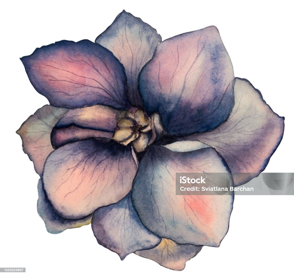Ilustración de Hermoso Dibujo En Acuarela De Flores Brillantes Closeup y  más Vectores Libres de Derechos de Abstracto - iStock