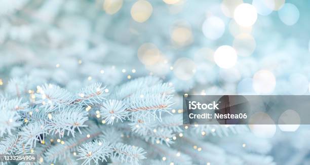 Long Banner Of White Snowy Christmas Tree Background Outdoor Lights Bokeh Around And Snow Falling Christmas Atmosphere Stock Photo - Download Image Now