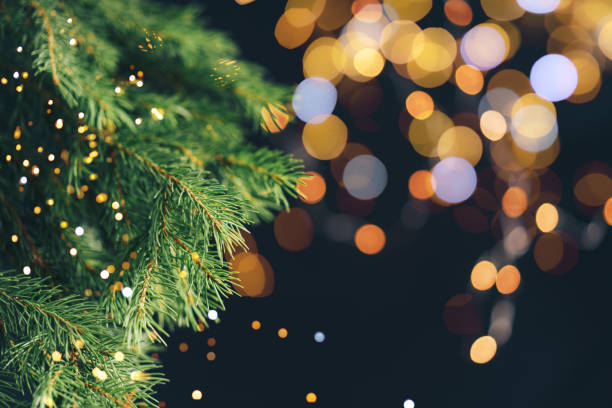 istock Christmas tree branch in front of blurry christmas lights 1333254905