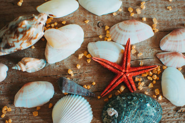 istock Sea travel 1333256515
