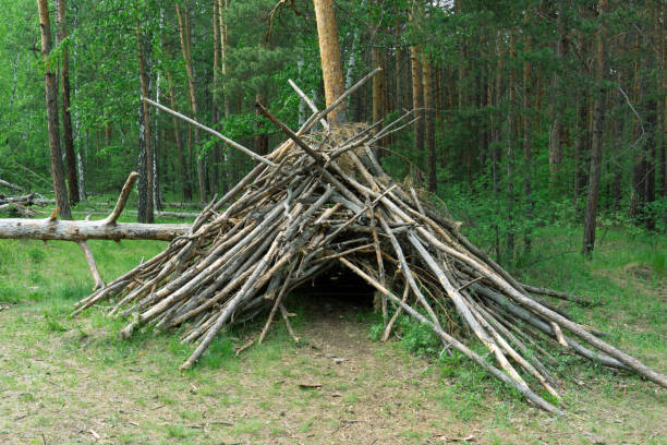 istock Hut in a green forest away from civilization. 1333259313