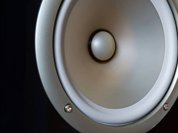 istock Close-up of silver loudspeaker woofer. Silver diffuser audio hi-fi system. 1333261957