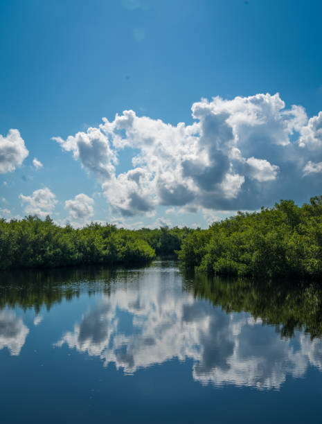 istock Port Charlotte, Florida - 2021 1333262870