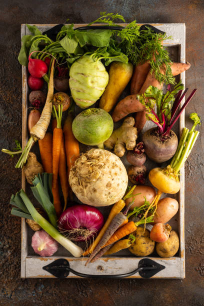 sortiment an gemüse und wurzelgemüse - parsnip vegetable winter food stock-fotos und bilder