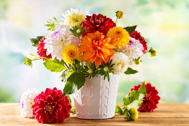 istock Autumn still life with garden flowers. 1333265308
