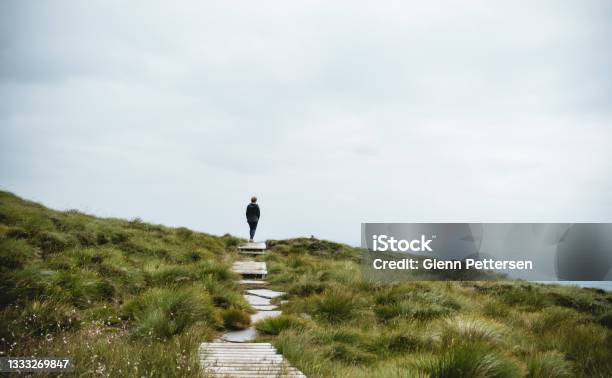 Person Walking In Path In Nature Stock Photo - Download Image Now - The Way Forward, People, Nature