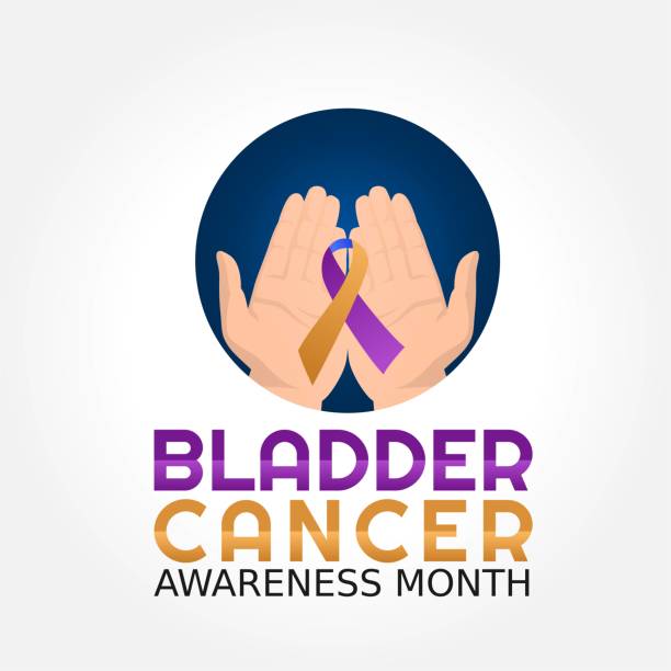Bladder cancer awareness month vector illustration. Suitable for greeting card, poster and banner. Bladder cancer awareness month vector illustration. Suitable for greeting card, poster and banner. bladder cancer stock illustrations