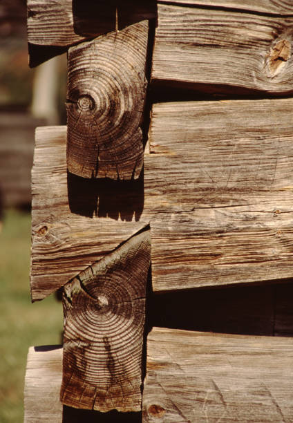 istock Old Log Cabin, Joint Construction and Chinking, North Carolina 1333272049