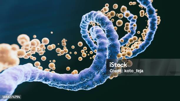 Abs Virus Stock Photo - Download Image Now - RNA, SARS-CoV-2 Delta variant, Genetic Variant