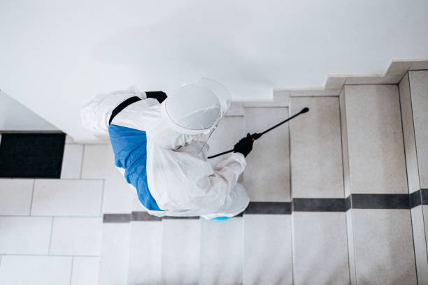 Spraying, disinfection and decontamination Manual worker in protective work wear spraying virus and bacteria disinfection in residential building with sprayer. pest control photos stock pictures, royalty-free photos & images