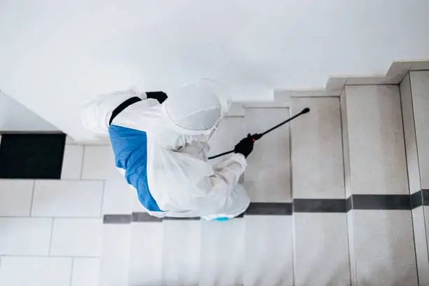 Manual worker in protective work wear spraying virus and bacteria disinfection in residential building with sprayer.