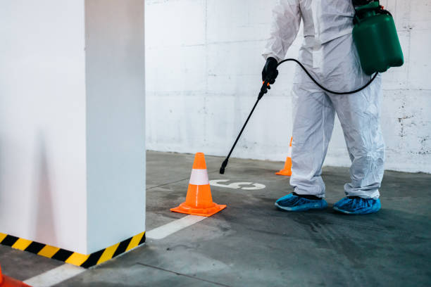 istock Spraying, disinfection and decontamination 1333278268