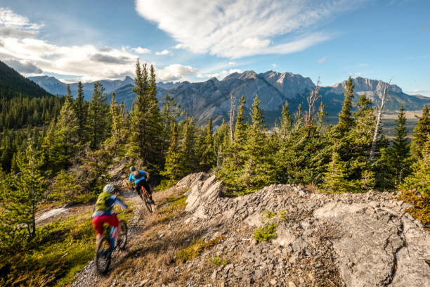 istock View of mountain bikers following trail down mountain 1333281292