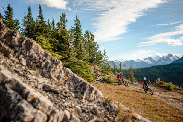 istock View of mountain bikers following trail down mountain 1333281299