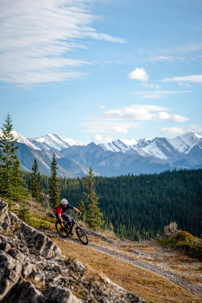 istock View of mountain biker following trail down mountain 1333281308